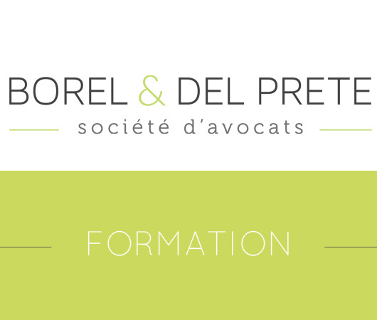 ​Formation sur les procédures d’urgence en droit public